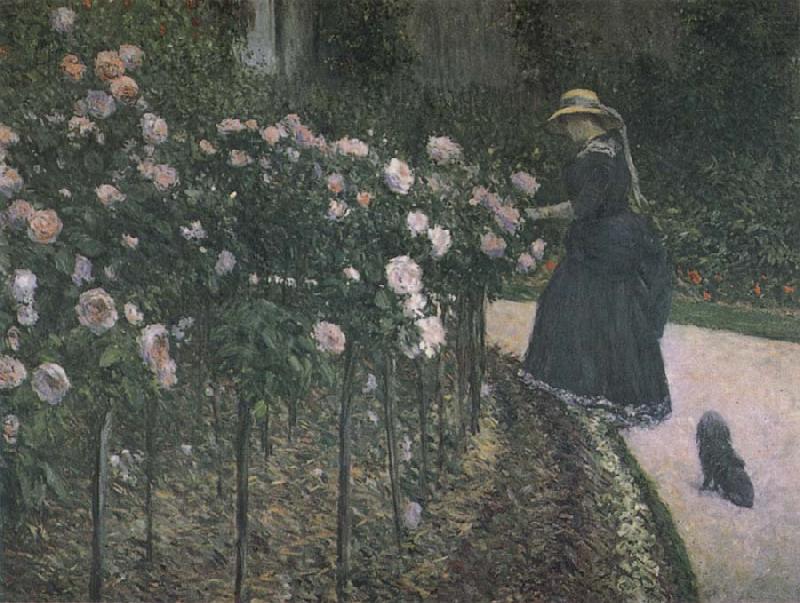 Gustave Caillebotte Some Rose in the garden china oil painting image